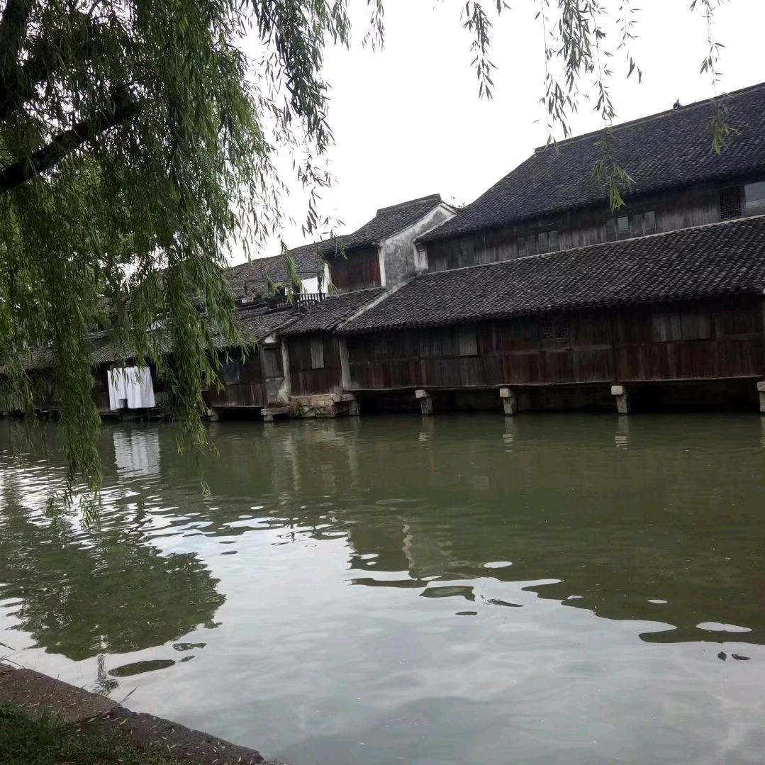 柠檬味的生活