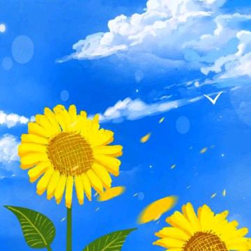 耕耘☀️Vierra