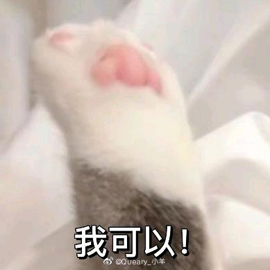 跑路的捎带翘课