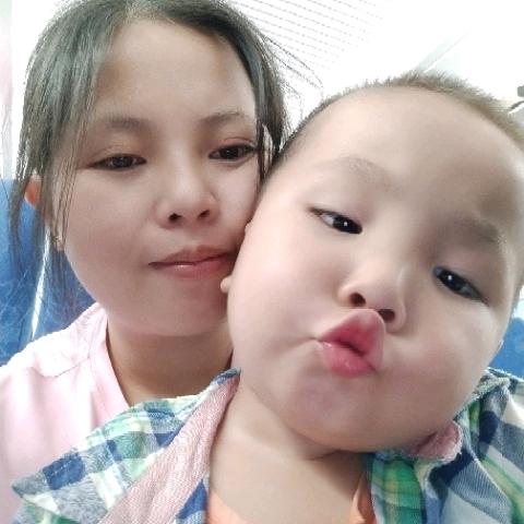 梅花，（好物在橱窗）