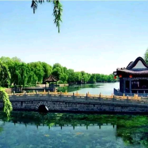 河边小哥
