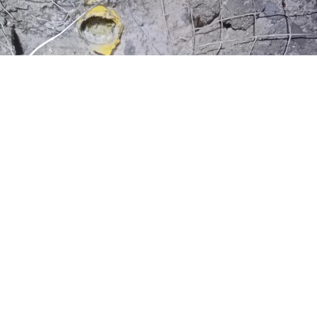 用户5588584779301