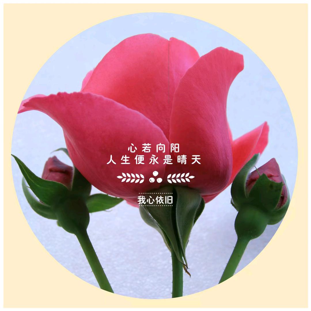 林家烧烤