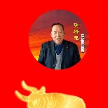 益林镇益北社区文化大院淮剧艺术团 陶会长