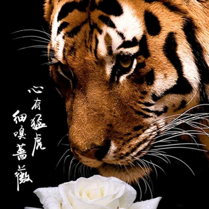 不忘初心ˇ方得始终