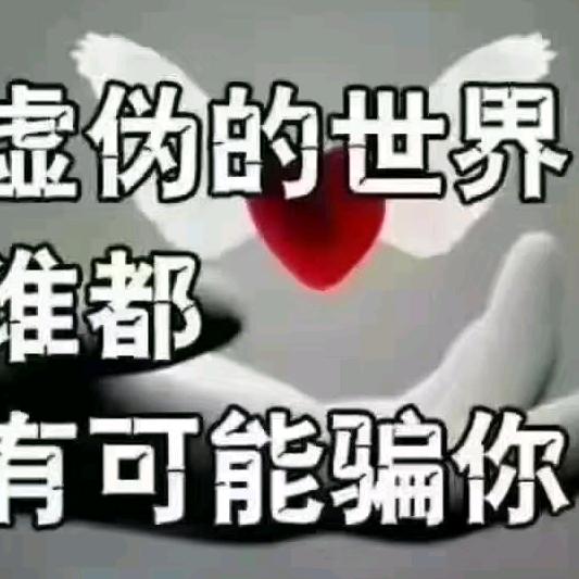 虚伪的世界谁都可能骗你