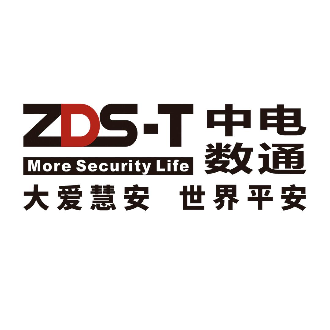 中电数通