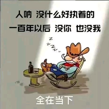 紫金草
