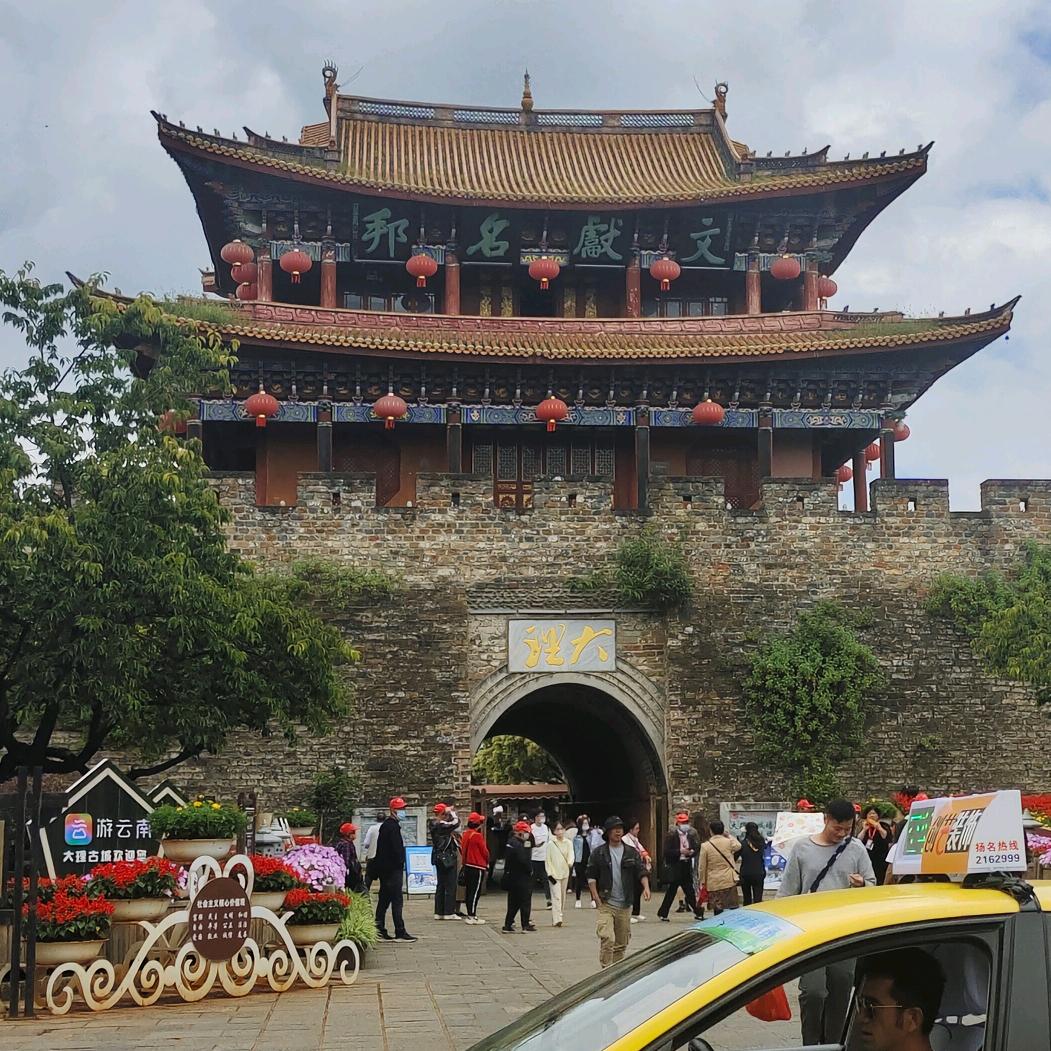 我又想你了