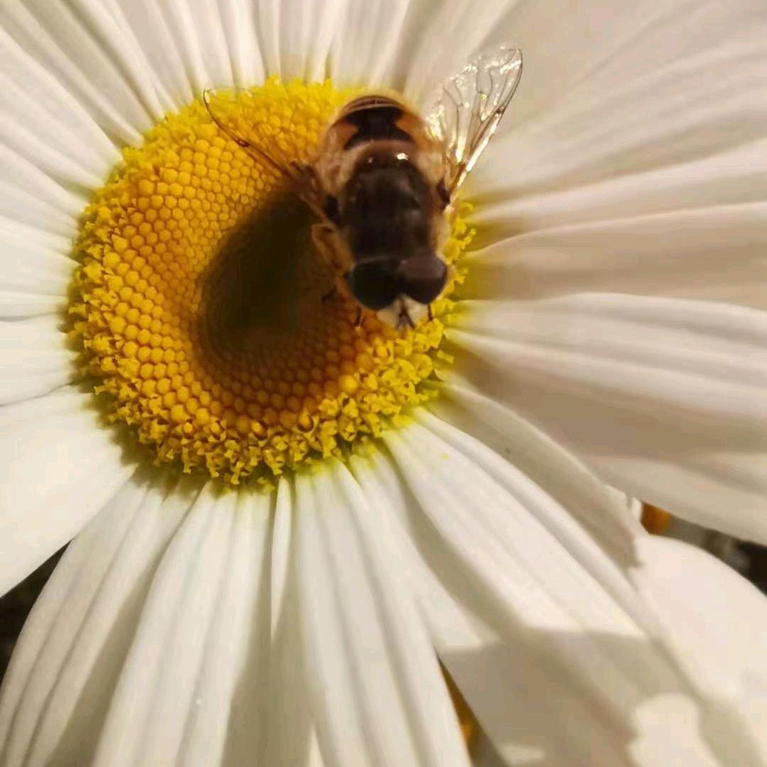 好好学习，天天向上！