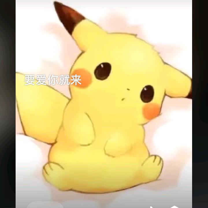 追梦🐾