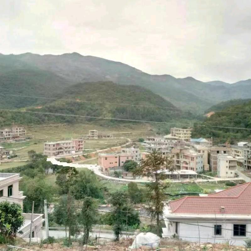 幸福每一天