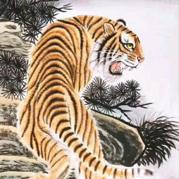 刘，，，阿青哥