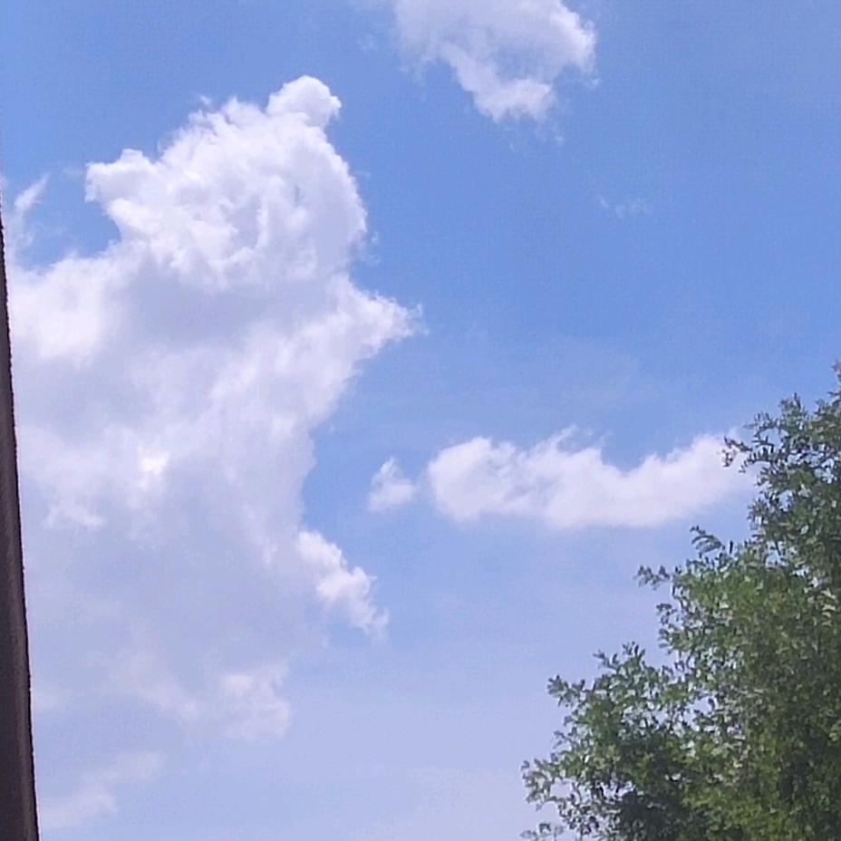 心如薄荷天然凉