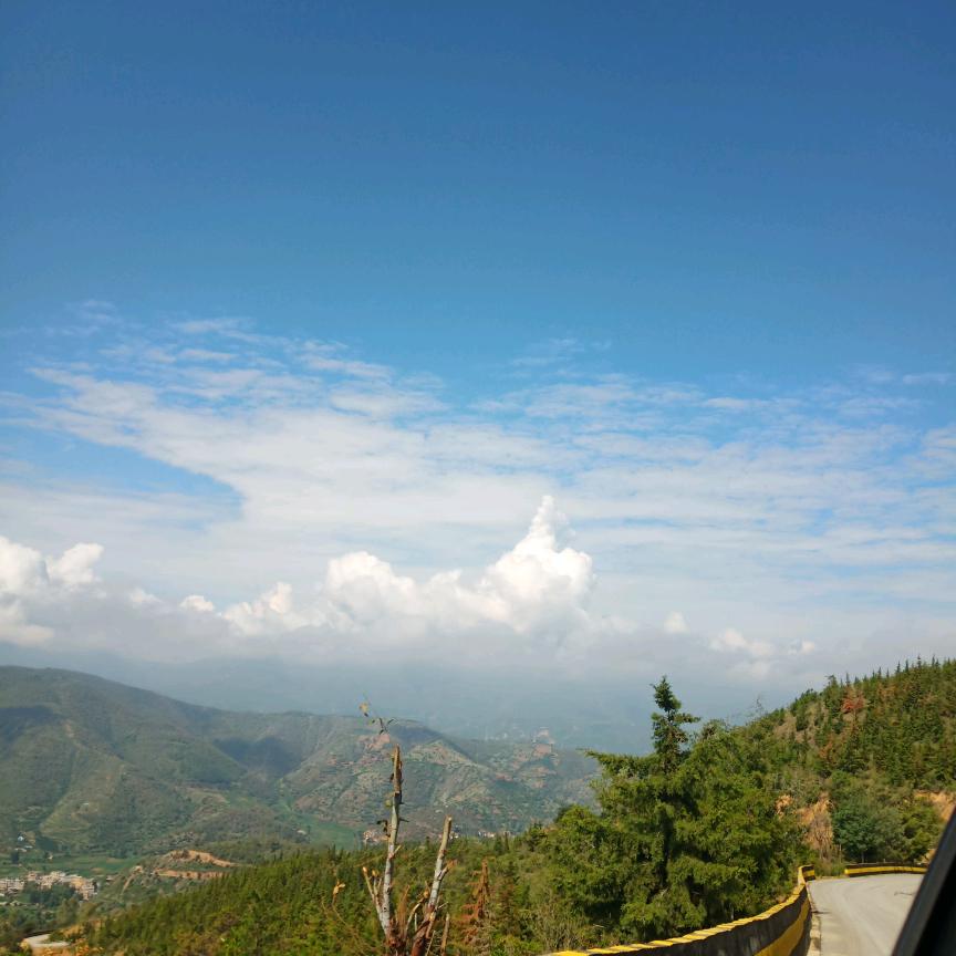 懂我的人在哪里？