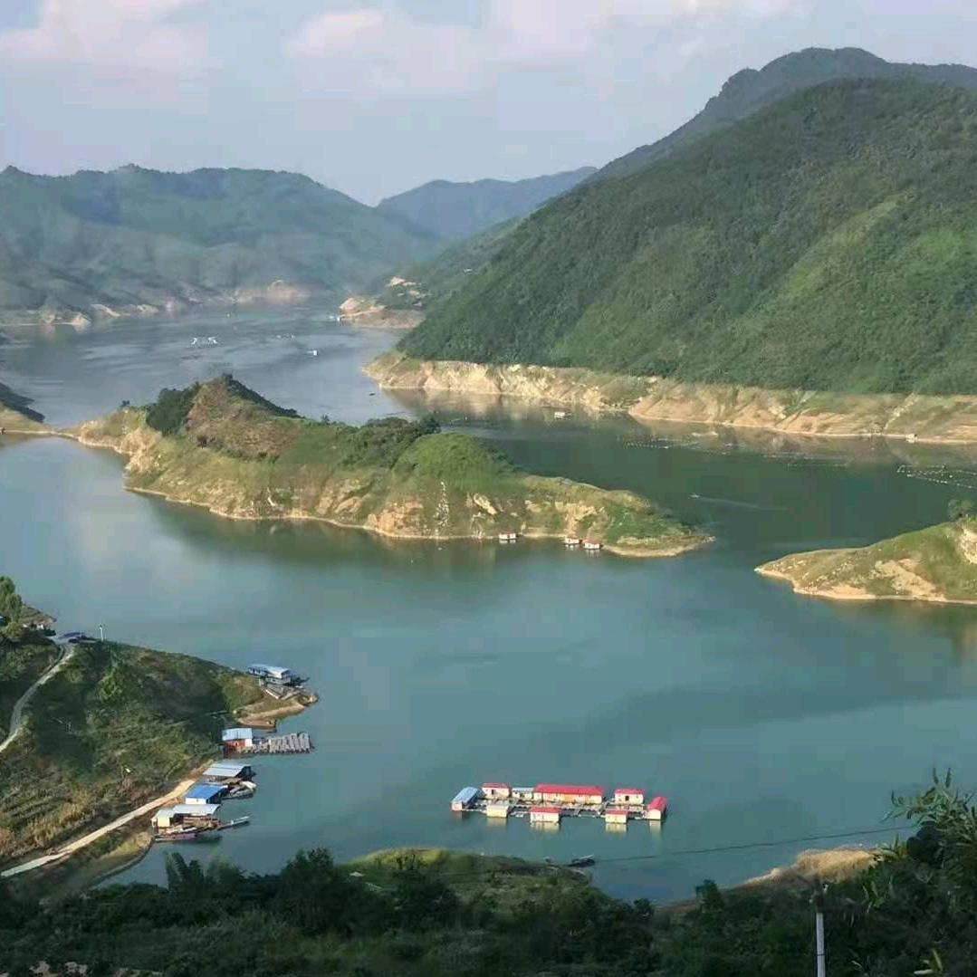 昂武打乐老岑