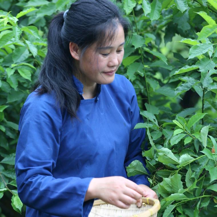 广粤煲仔饭餐饮店