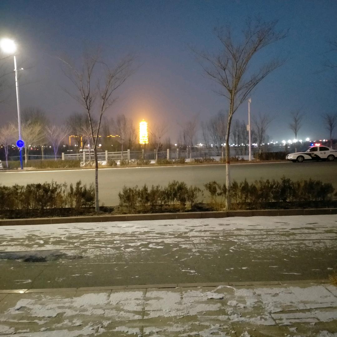 游钓塔河大鲤鱼。