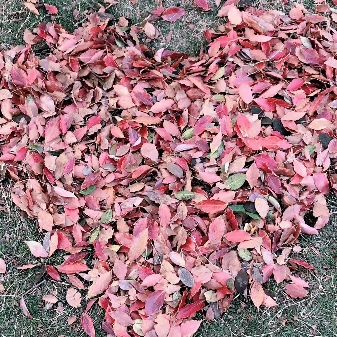 简简单单的幸福