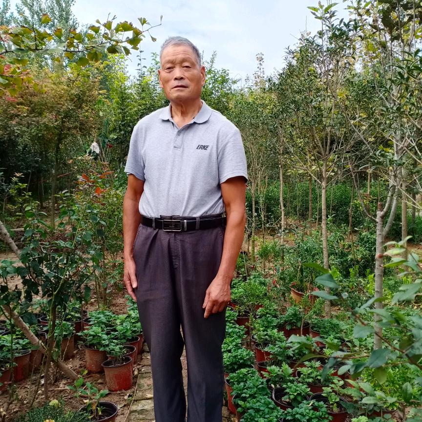 墨香书法