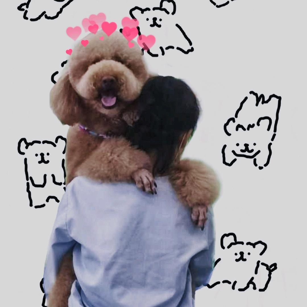 昌吉宠物美容师小郭郭