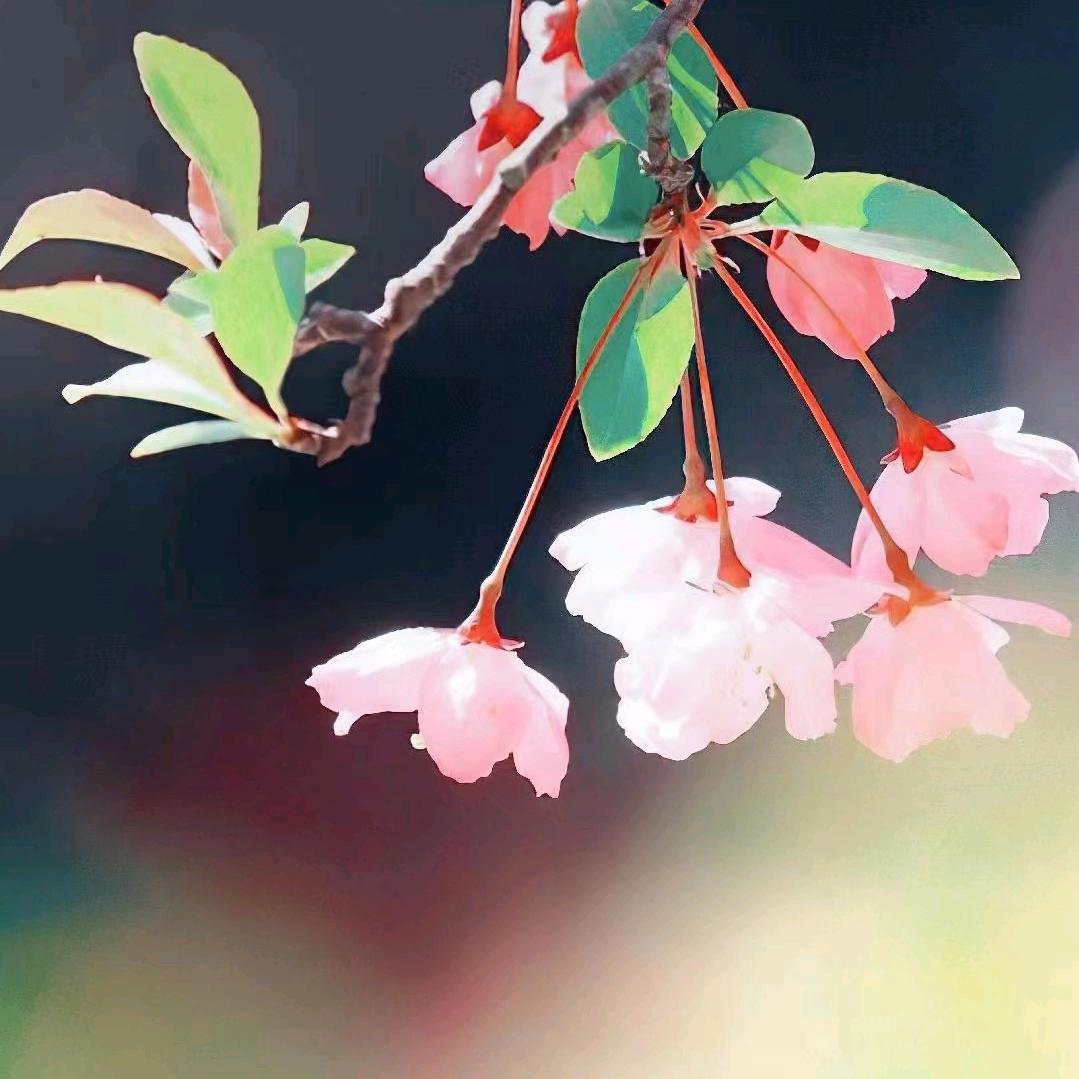 岁月静好