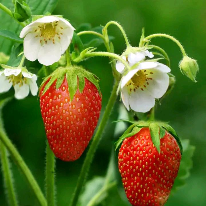 有需要砇石出售找我