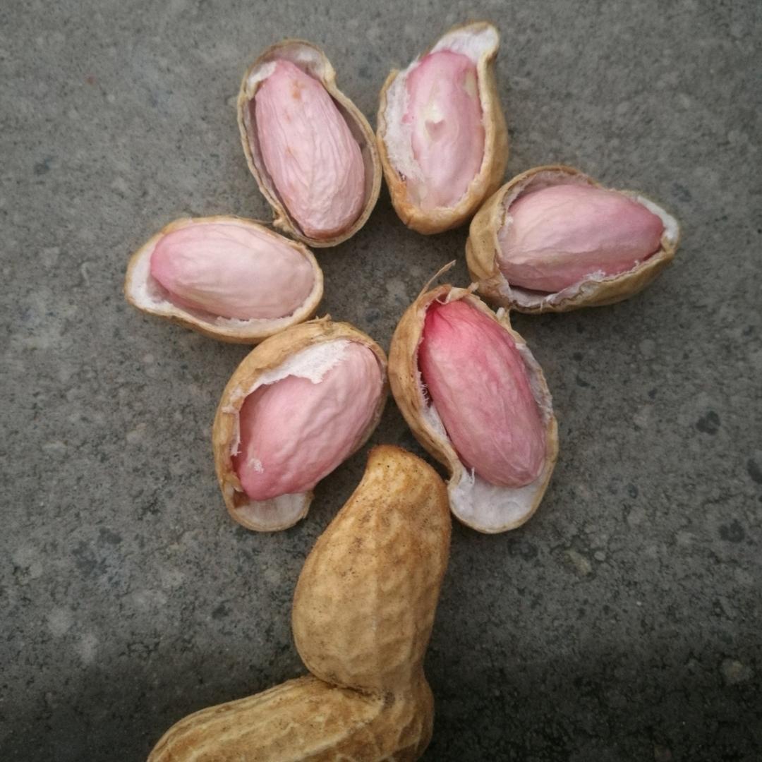 翠花🌸