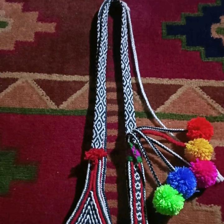 小龙