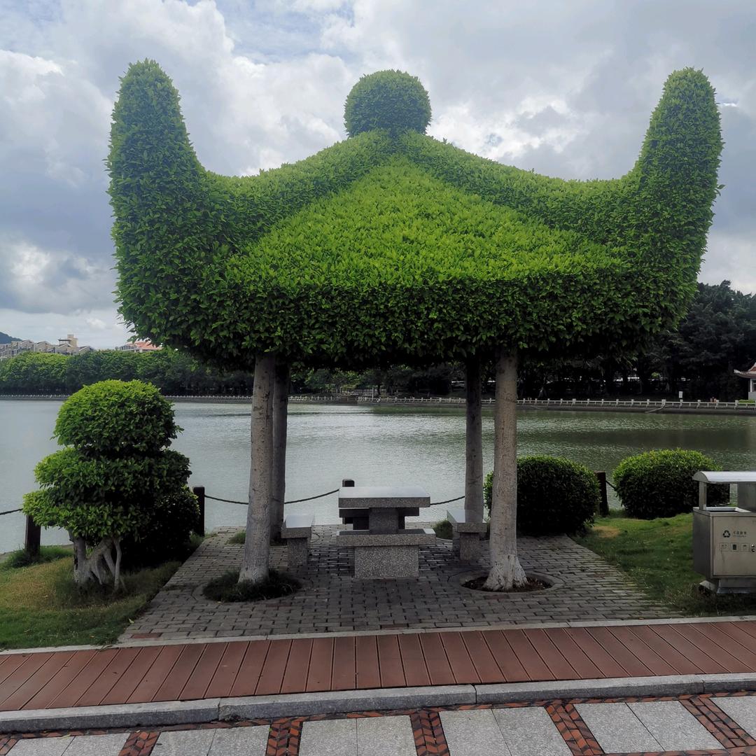 邓州平哥