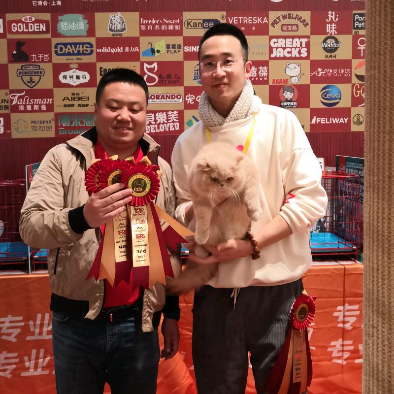 阿九宠物用品折扣仓