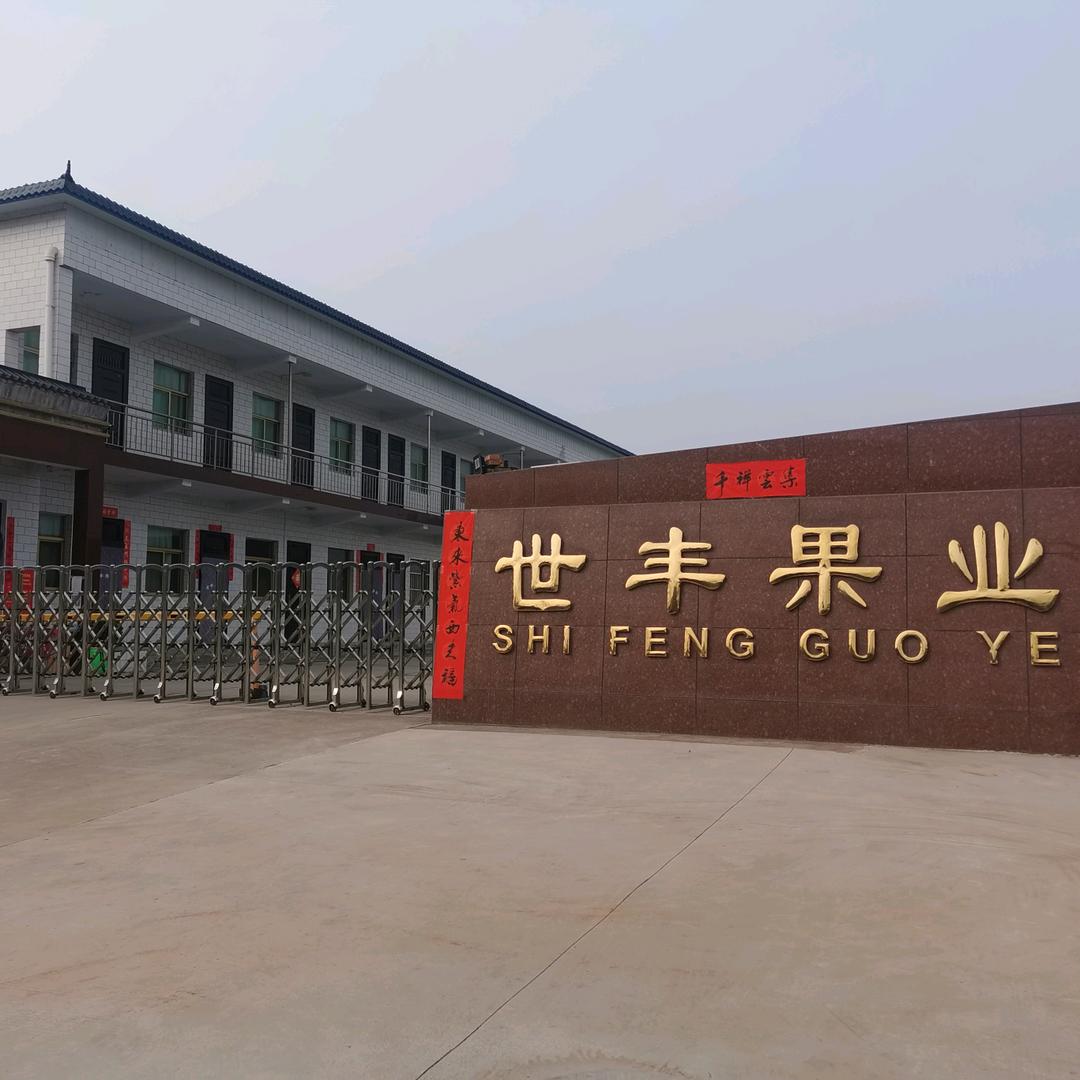灵宝市世丰果业