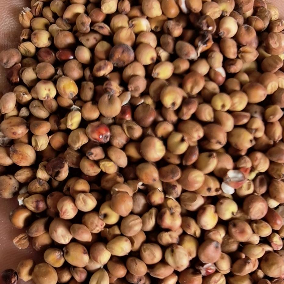 -   且行且珍惜。