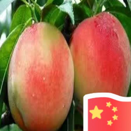 修成正果