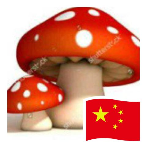 丹丹🇨🇳