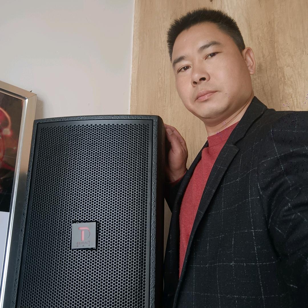 tinmas天玛仕音响