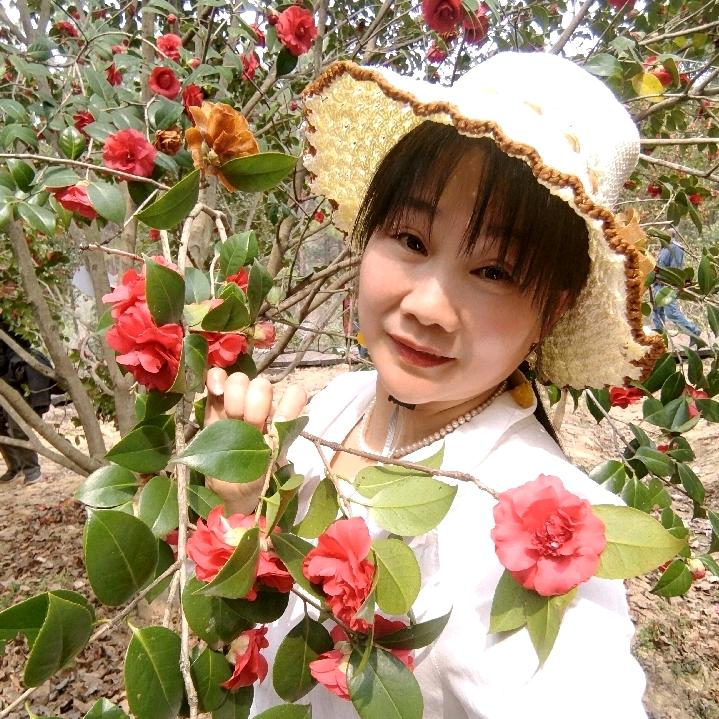 兰花草