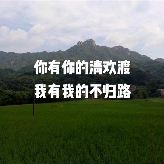 时来运转