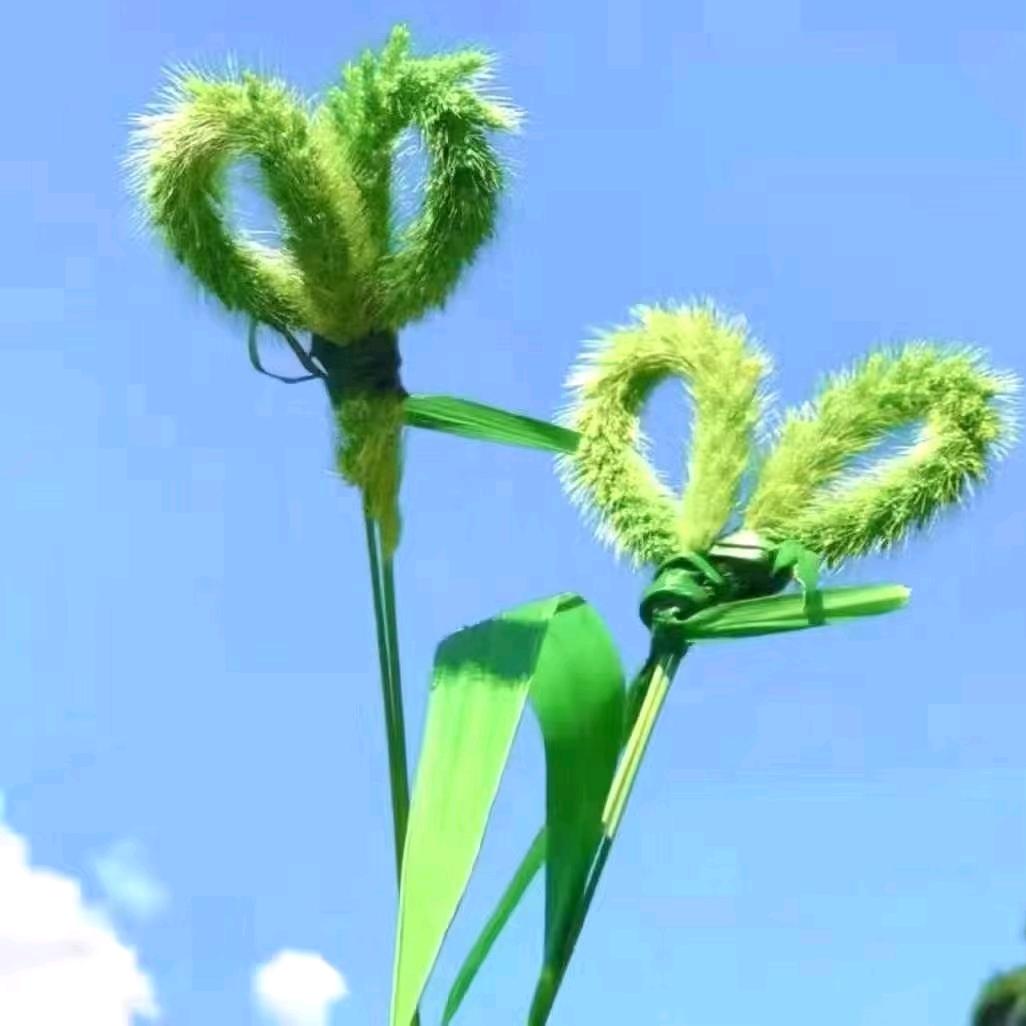 童心天天向上