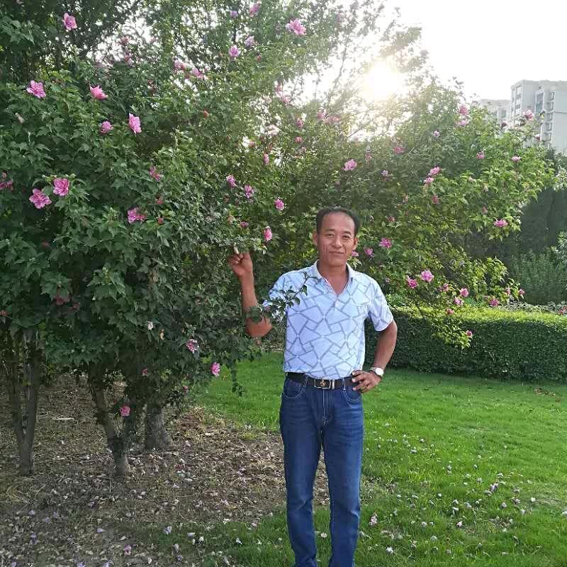 专业拆除 楼房上料