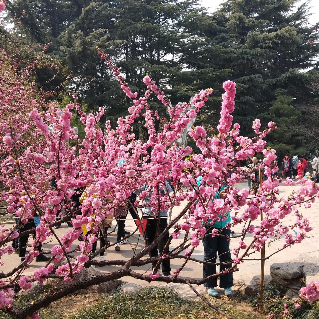 我爱一家人
