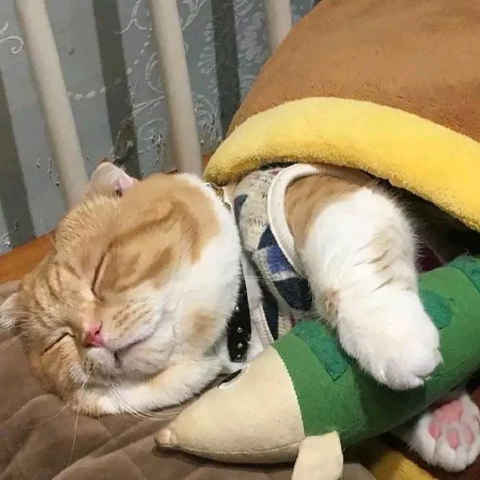 遇见n头像