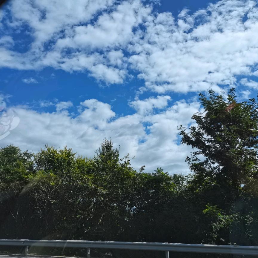 真实自我