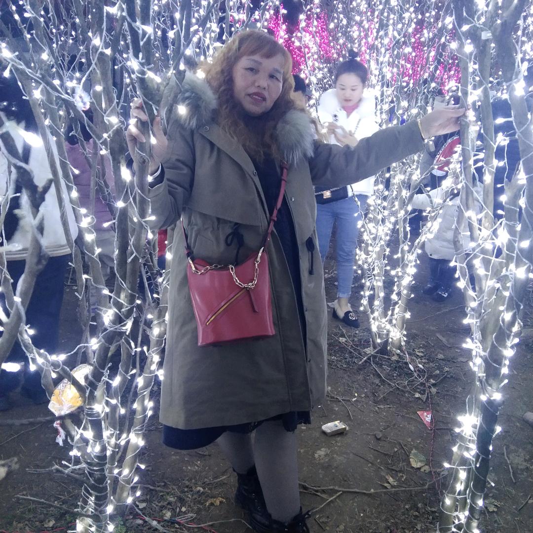 蓝色妖姬单身的我自由自在