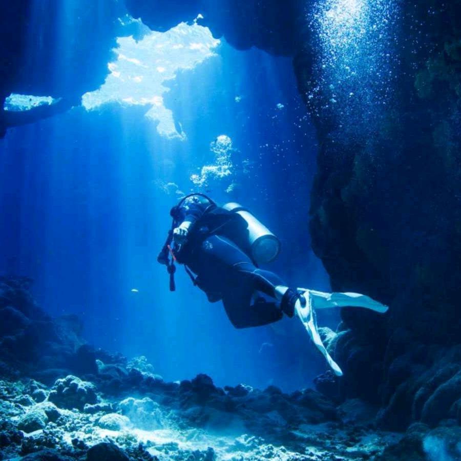 🐬🐠渔歌子🐳