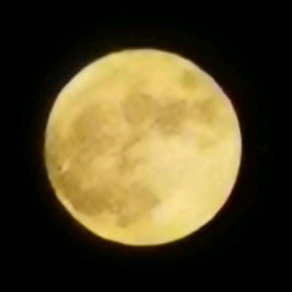 @说一声谢谢你！