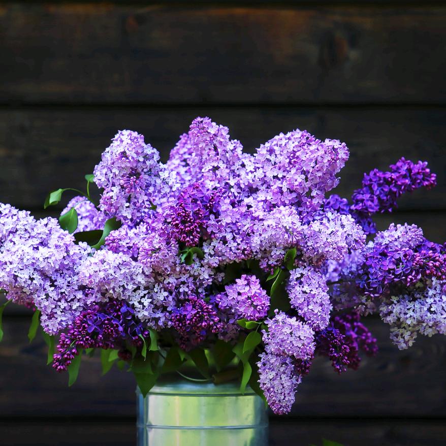 沉默是金无奈人生