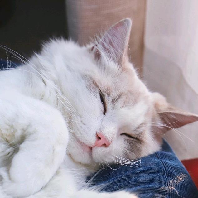 ໑ຼₒ₂₃ღ᭄陈默是金🦋꧔ꦿ᭄💞