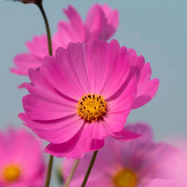 记得微笑👸🏻👸🏻👸🏻