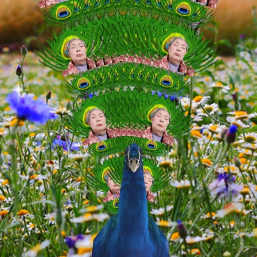 何